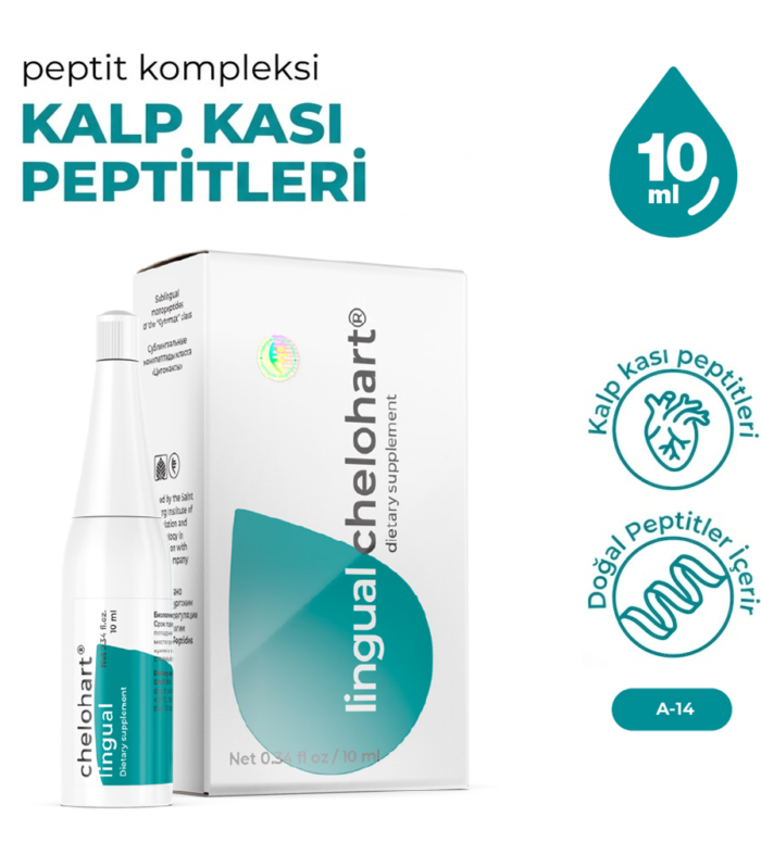 Chelohart A-14 Lingual Kalp Kası