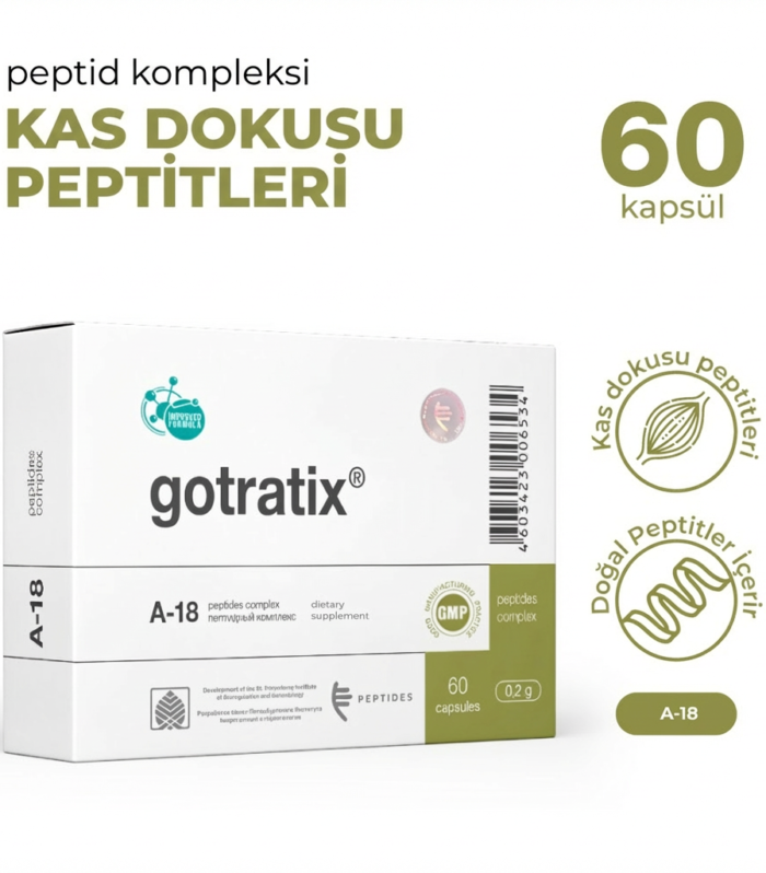 Gotratix A-18 Kas Sistemi
