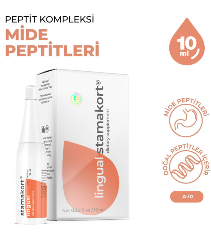 Stamakort A-10 Lingual Mide ve Sindirim Sistemi
